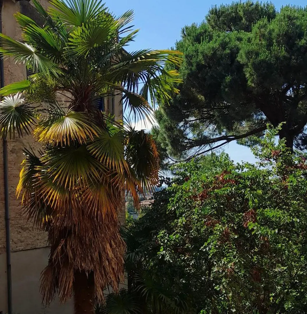 La Loggetta Di Stalloreggi سيينا 0*,